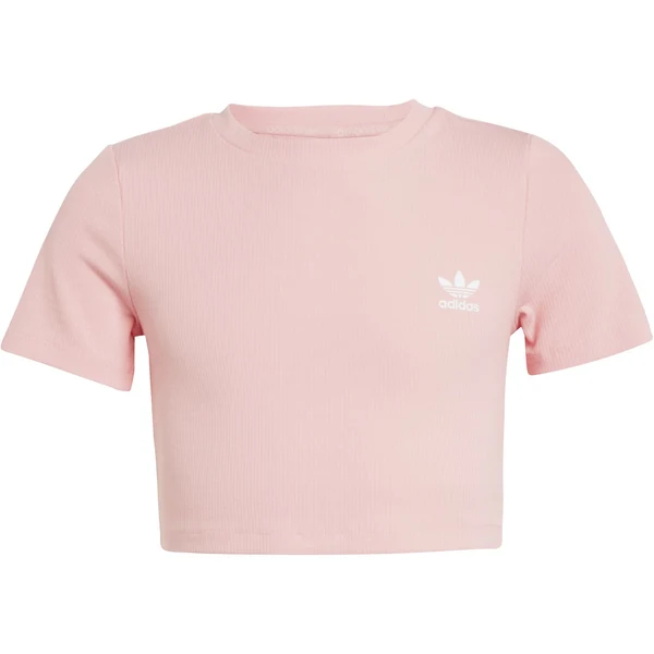 RIB CROP TEE