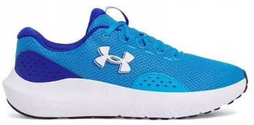 Charged Surge 4 Running Shoes