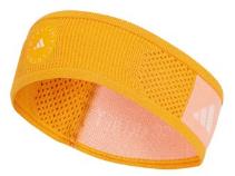 aSMC HEADBAND